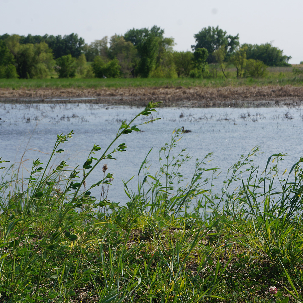 Iowa Water - Wings2Water