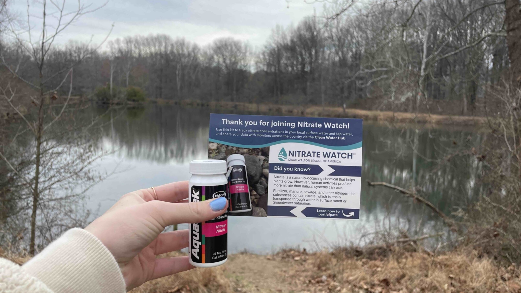 Nitrate Watch Kit Pond